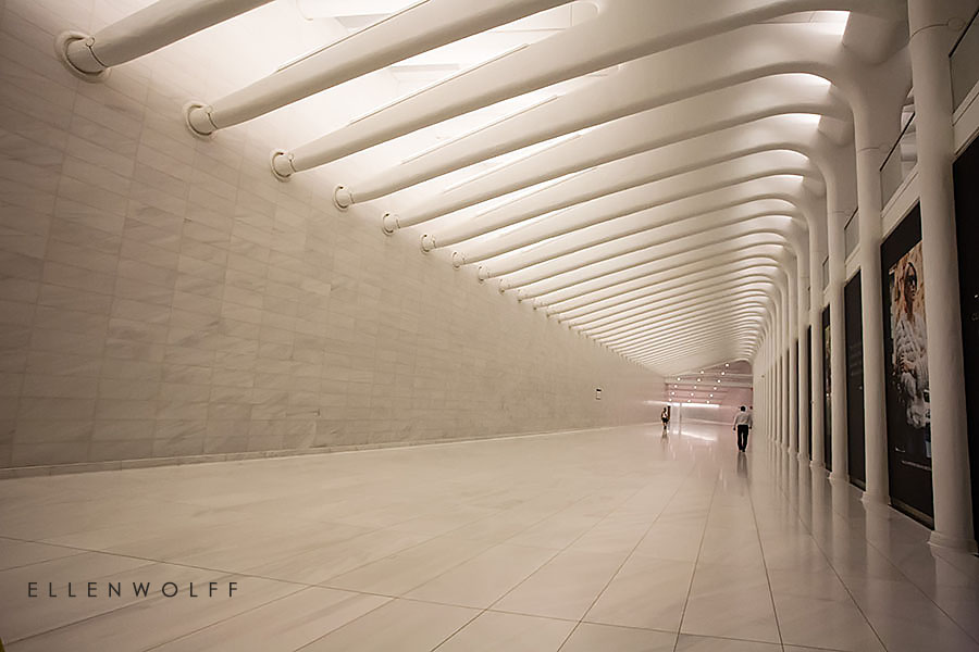 Ellen Wolff Photographer:PATH_Hub_1WTC - Ellen Wolff Photographer